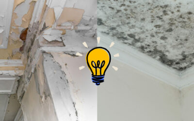 Formation « problèmes d’humidité et de ventilation dans les logements »
