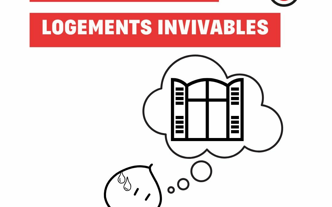 Volets absents et logements invivables au Séqué (Bayonne)
