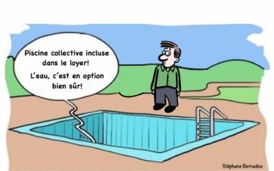 Journal N°16 – Les vautours